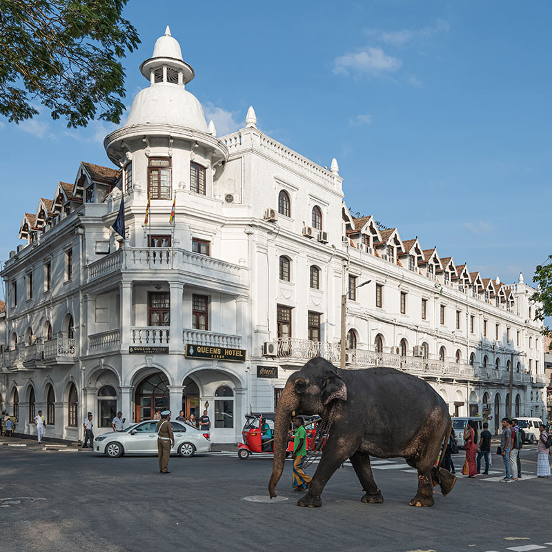 Kandy