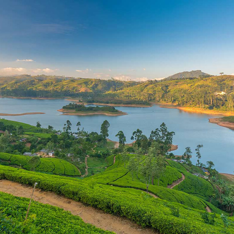 Nuwara Eliya