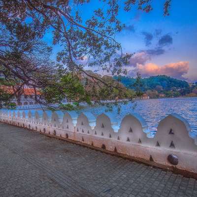 Honeymoon Tour